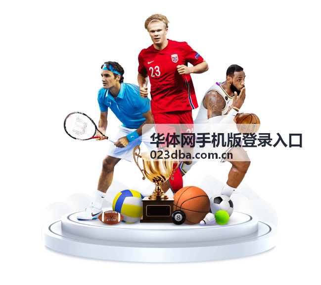 华体网手机版登录入口在手机端打开后的登录界面示意